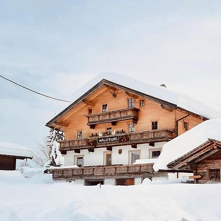 Appartements Waldruhe St. Jakob in Defereggen Exterior foto